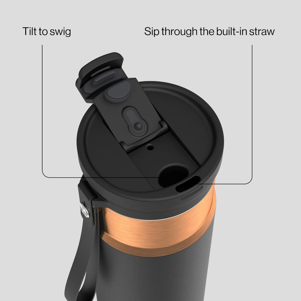 24oz DualSip Bottle - Licorice Bronze